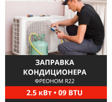 Заправка кондиционера Energolux фреоном R22 до 2.5 кВт (09 BTU)