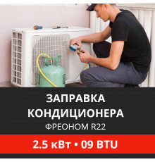 Заправка кондиционера Energolux фреоном R22 до 2.5 кВт (09 BTU)